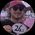 Jessie Bucholtz's profile picture