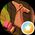 Maria K's profile picture